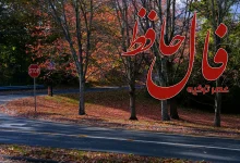 فال حافظ 7 آبان 1404