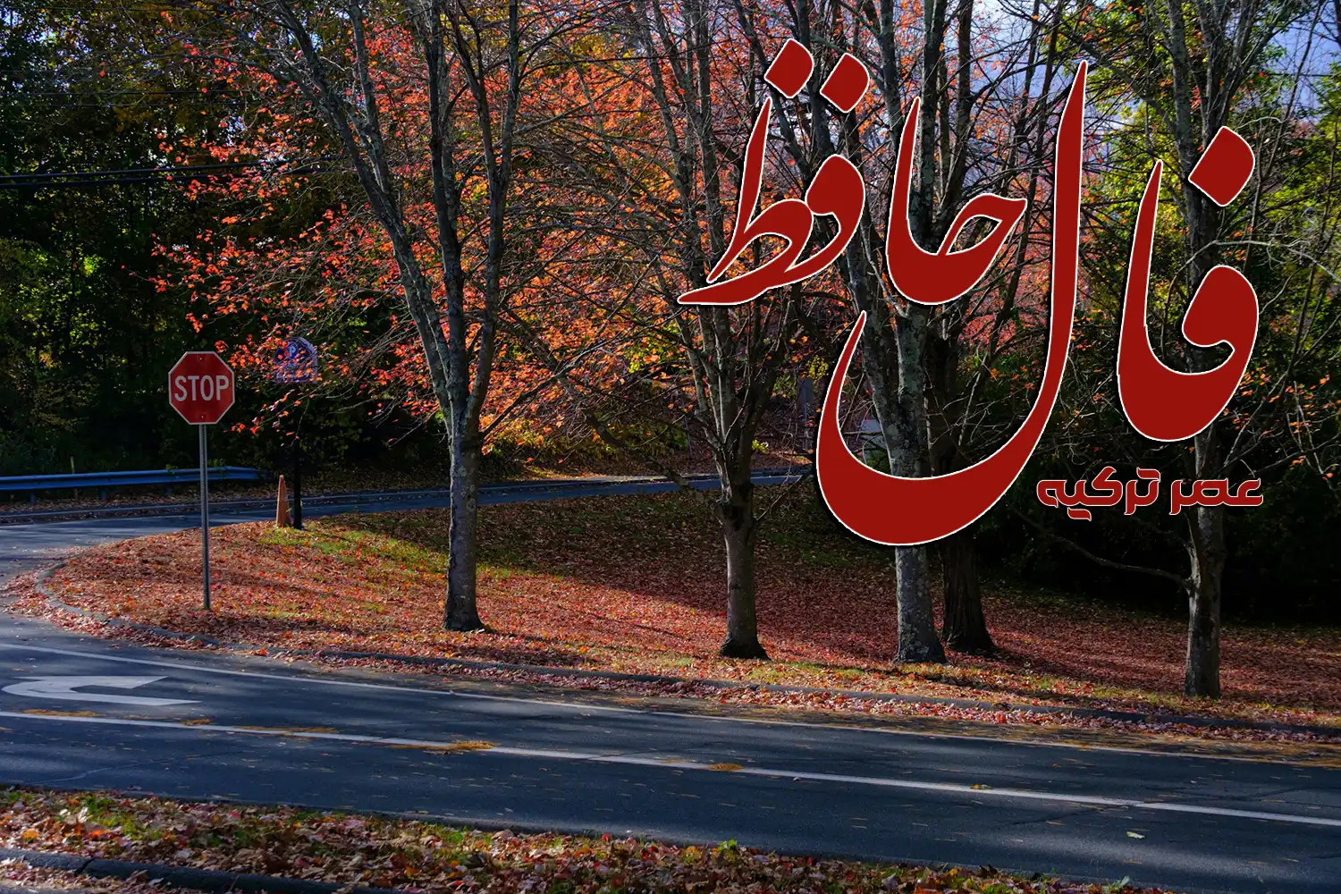 فال حافظ 7 آبان 1404