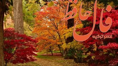 فال حافظ 8 آبان 1404