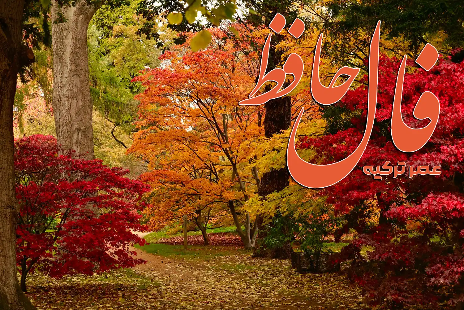 فال حافظ 8 آبان 1404