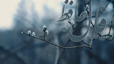 فال حافظ 9 آبان 1404