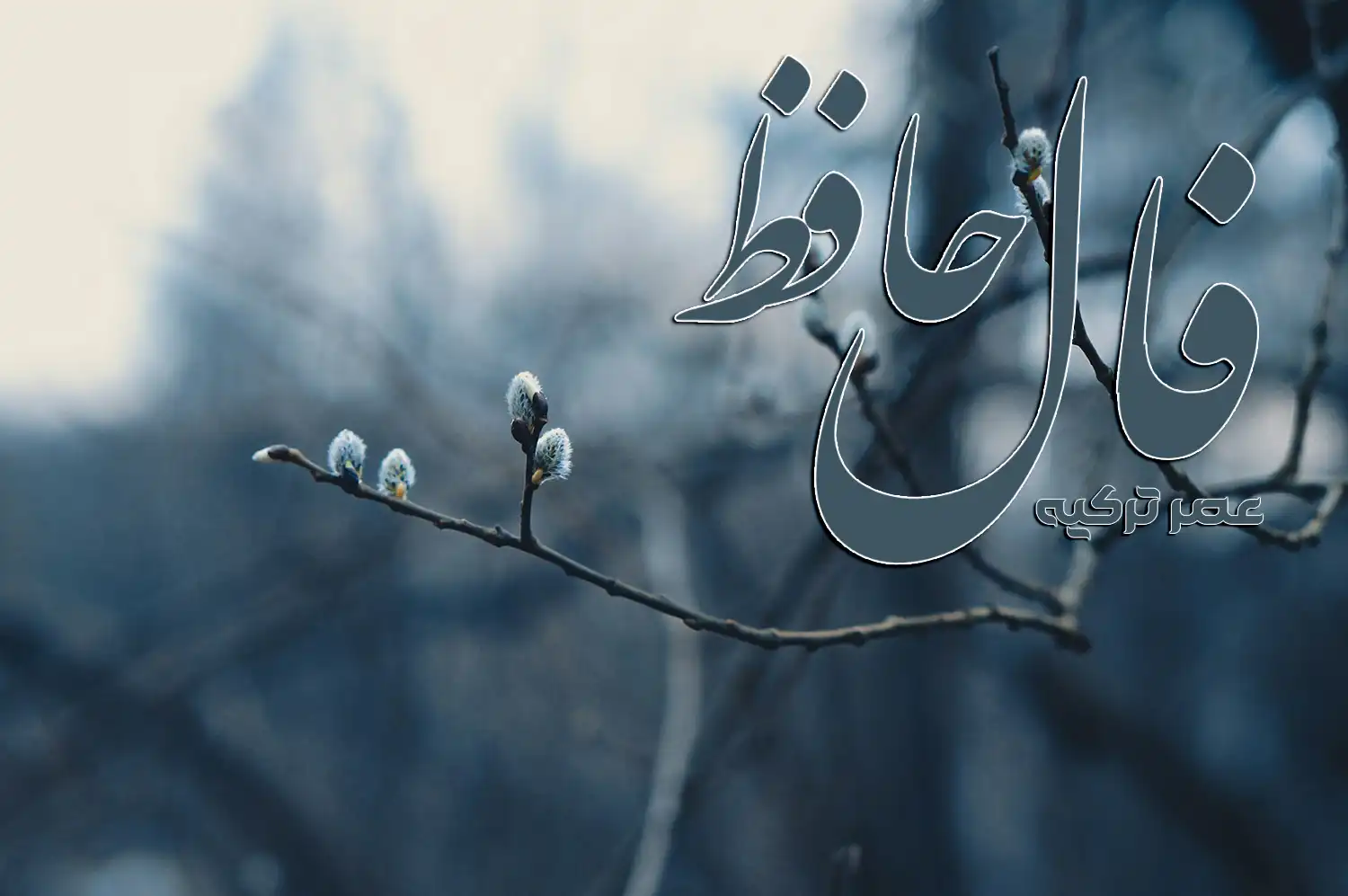 فال حافظ 9 آبان 1404