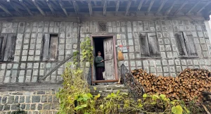 خانه‌های شاه‌بلوطی در استان آرتوین ترکیه