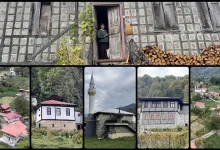 خانههای شاهبلوطی در استان آرتوین ترکیه