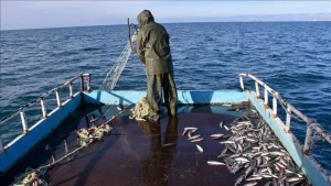 جوانان ترکیه با وجود حقوق ۸۰ هزار لیری، حاضر به کار در این شغل نیستند 3 nzJBDocOukmSu6ZJt5RV8w