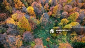 زیباییهای پاییز در یلاقهای دریای سیاه