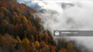 زیباییهای پاییز در یلاقهای دریای سیاه