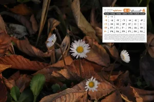 تقویم آبان ۱۴۰۴
