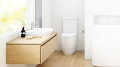 از جدیدترین مدل توالت رونمایی شد