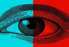 تست بینایی؛ 5 گوزن را در تصویر پیدا کنید