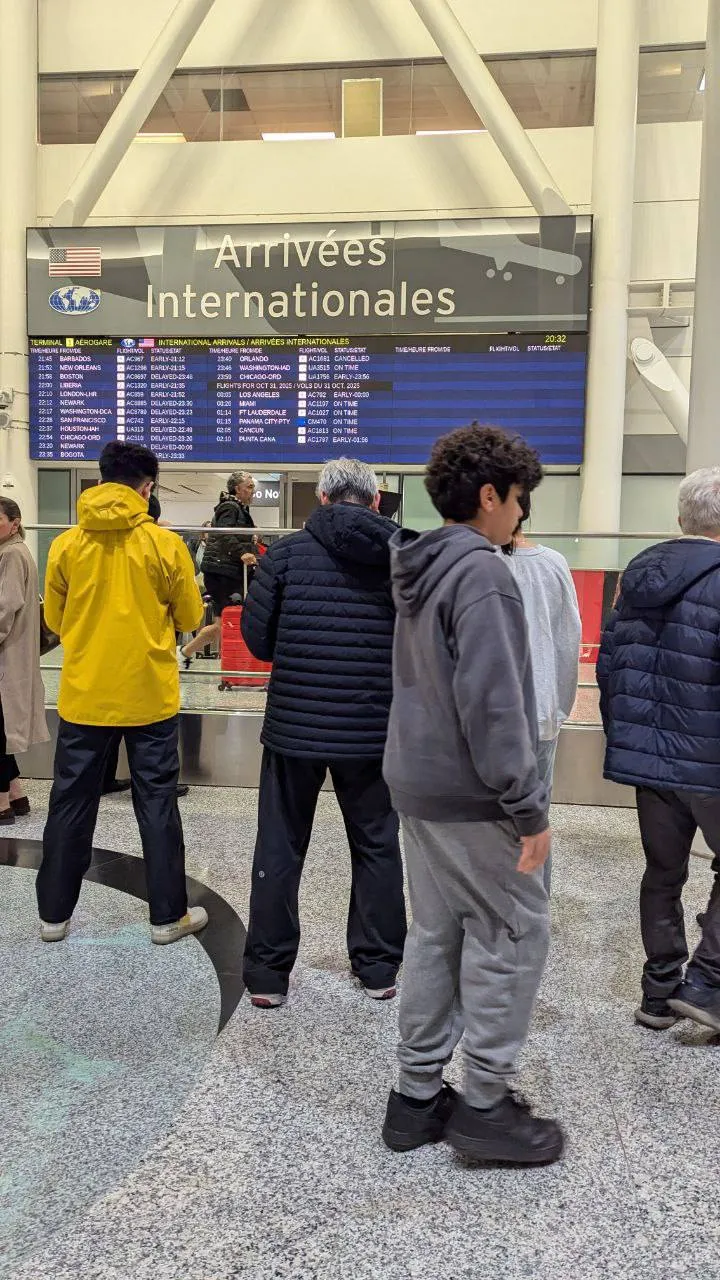 پژمان جمشیدی