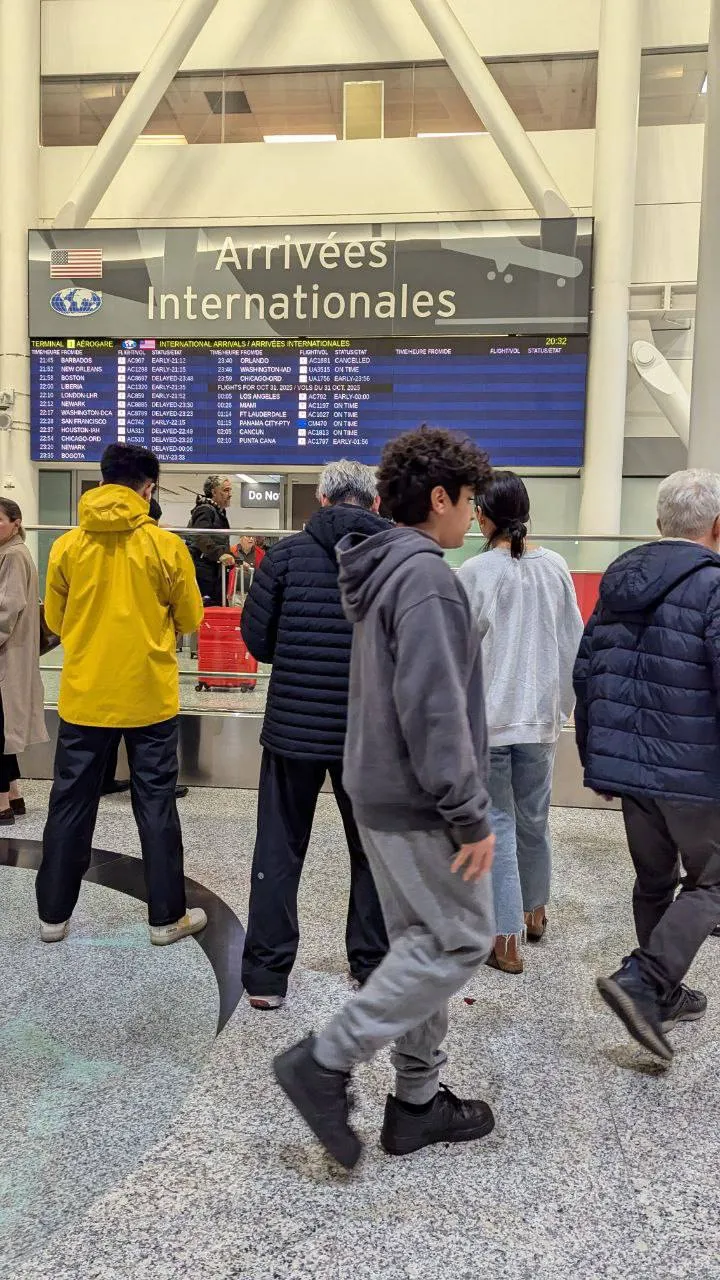 پژمان جمشیدی