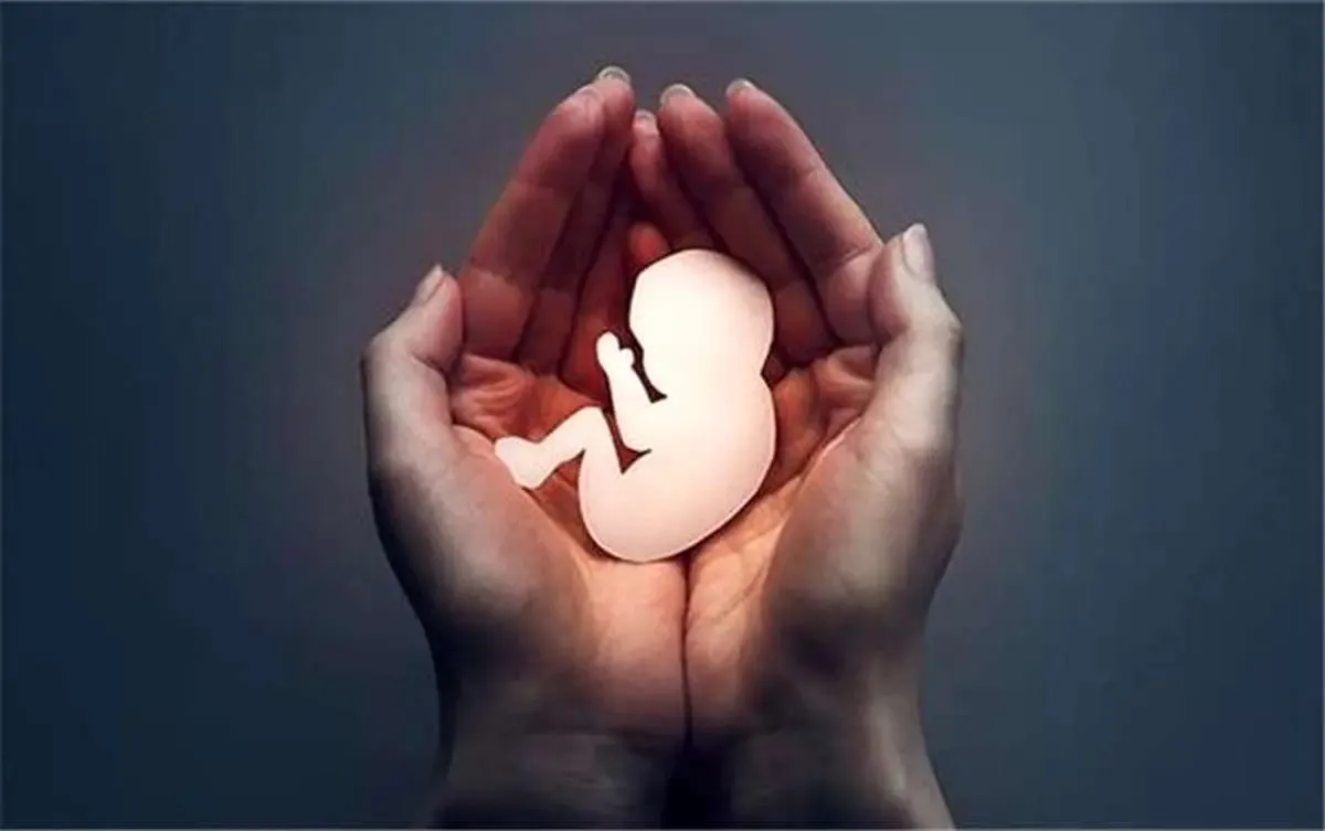 عوامل موثر بر سقط جنین را بشناسید 1 عوامل موثر بر سقط جنین را بشناسید