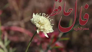 فال حافظ 11 مهر 1404