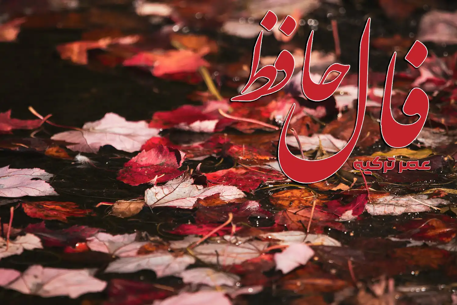 فال حافظ 12 مهر 1404