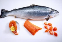 کارخانه داروسازی