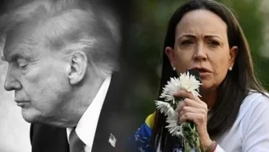 جایزه صلح نوبل