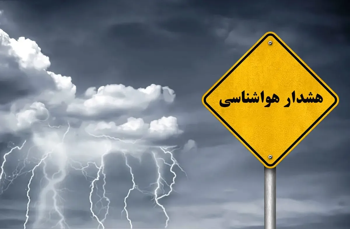 هوشناسی