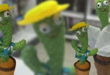 کاکتوس رقصان