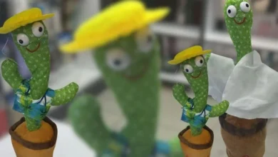 کاکتوس رقصان