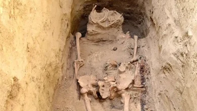 افراد الهامبخش