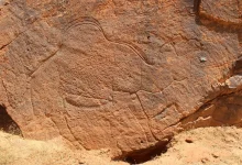 کشف شترهای 12 هزارساله در بیابان‌های عربستان