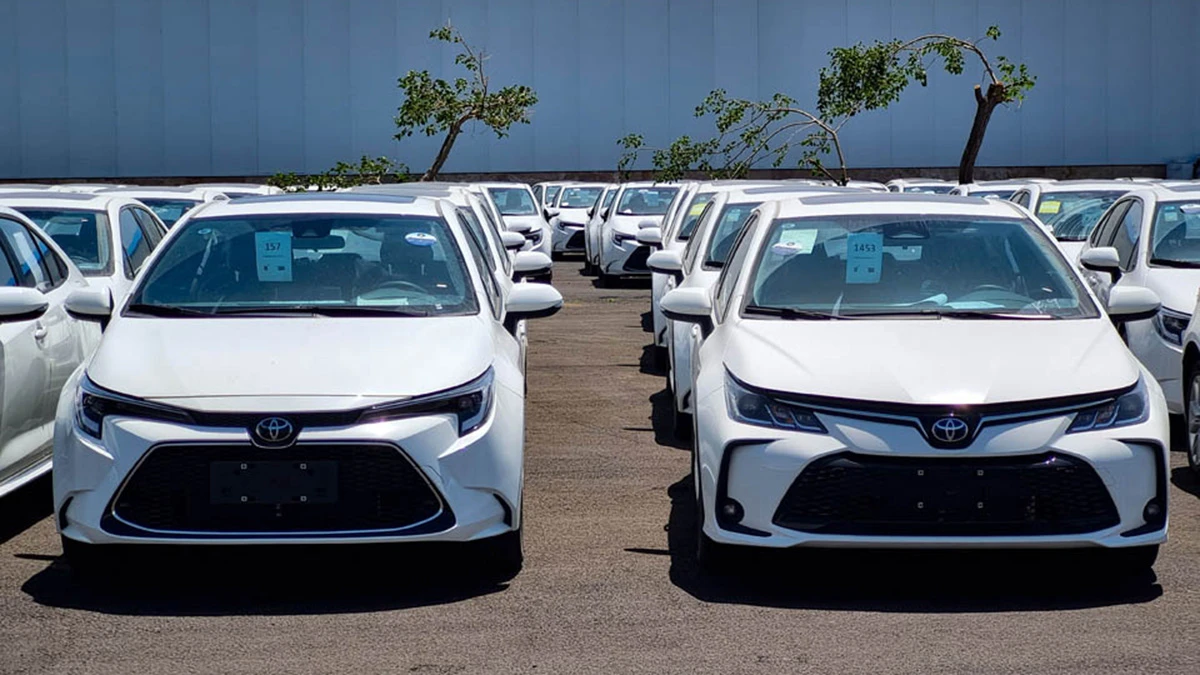 ثبتنام خودروهای وارداتی از فردا سهشنبه ۴ آذر ۱۴۰۴ ( قیمت و فهرست خودروها) 1 2 205