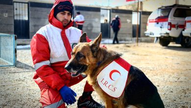 لوازم جانبی