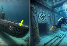 زیردریایی گمشده نازیها در اعماق اقیانوس پیدا شد 4 4 42