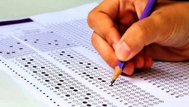 انیمیشن شنگول و منگول