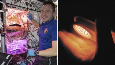 ۵ اختراع کاربردی ناسا که همین الان در خانه دارید 41 6 60