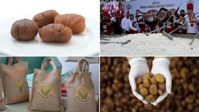 ثبت نشان جغرافیایی اتحادیه اروپا بر دو محصول غذایی ترکیه