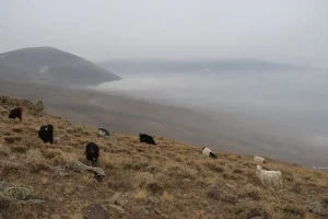 رشته کوه زیبای ارس