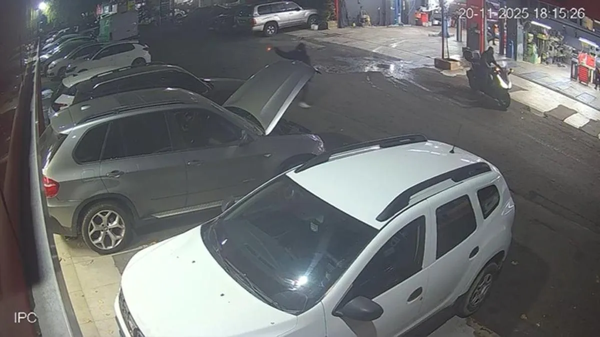 وحشت در شهرک صنعتی خودرو ماسلاک؛ مهاجم ۱۶ ساله دستگیر شد