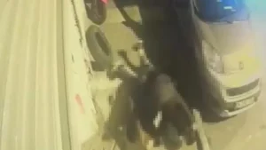 692bf8f9586197a571cd1db3