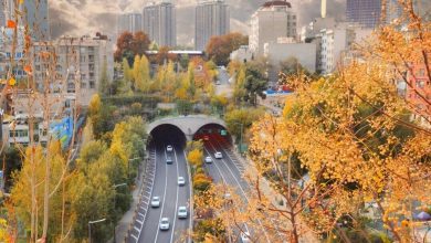 تامین اجتماعی