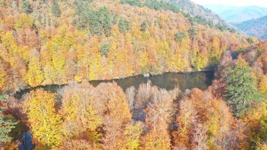 پارک ملی یدی گللر