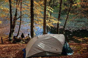 پارک ملی یدی گللر