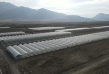 ایجاد بزرگ‌ترین گلخانه‌ای یکپارچه شرق آناتولی