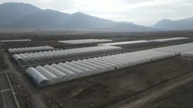 ایجاد بزرگ‌ترین گلخانه‌ای یکپارچه شرق آناتولی