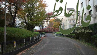 فال حافظ 30 آبان 1404