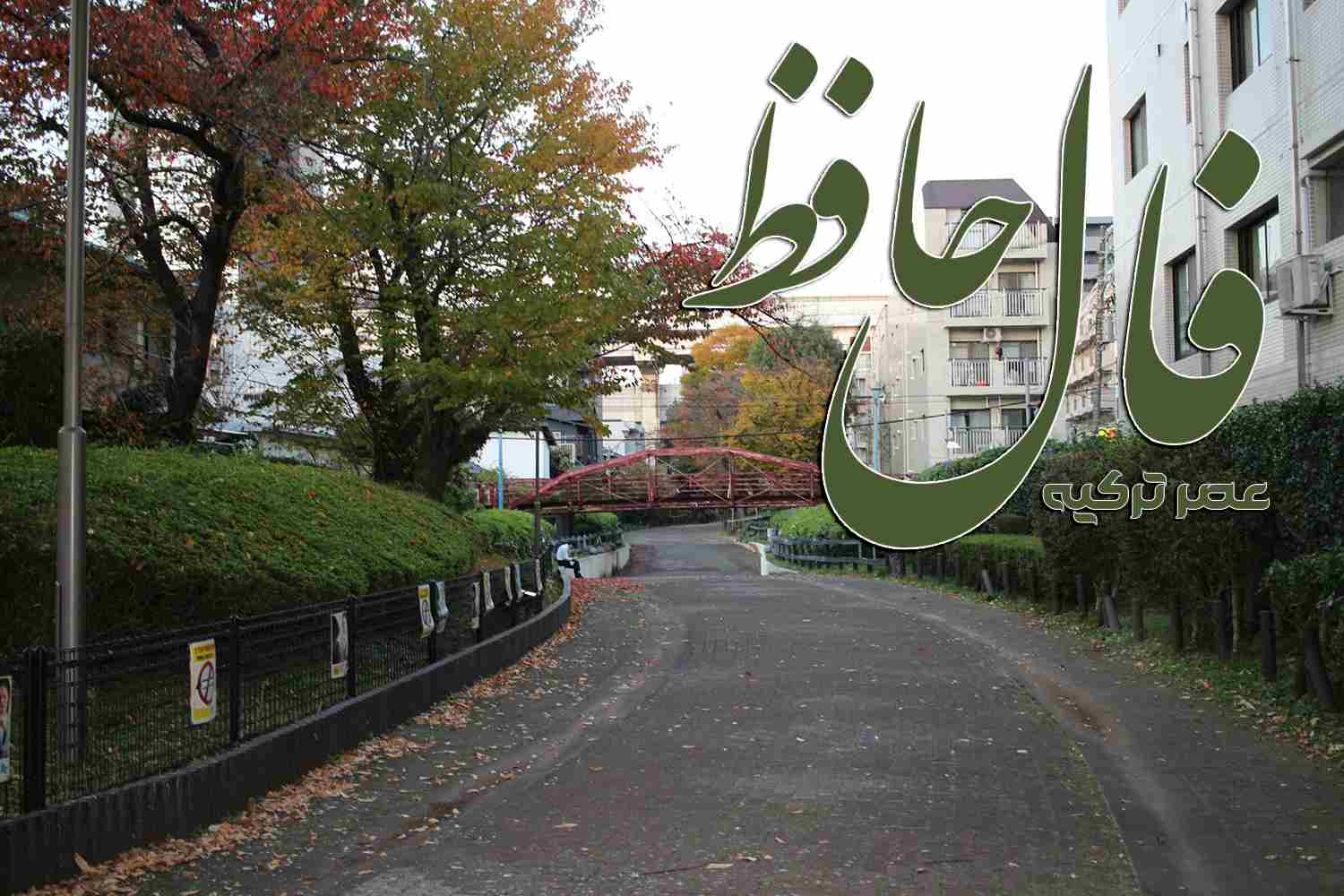 فال حافظ 30 آبان 1404