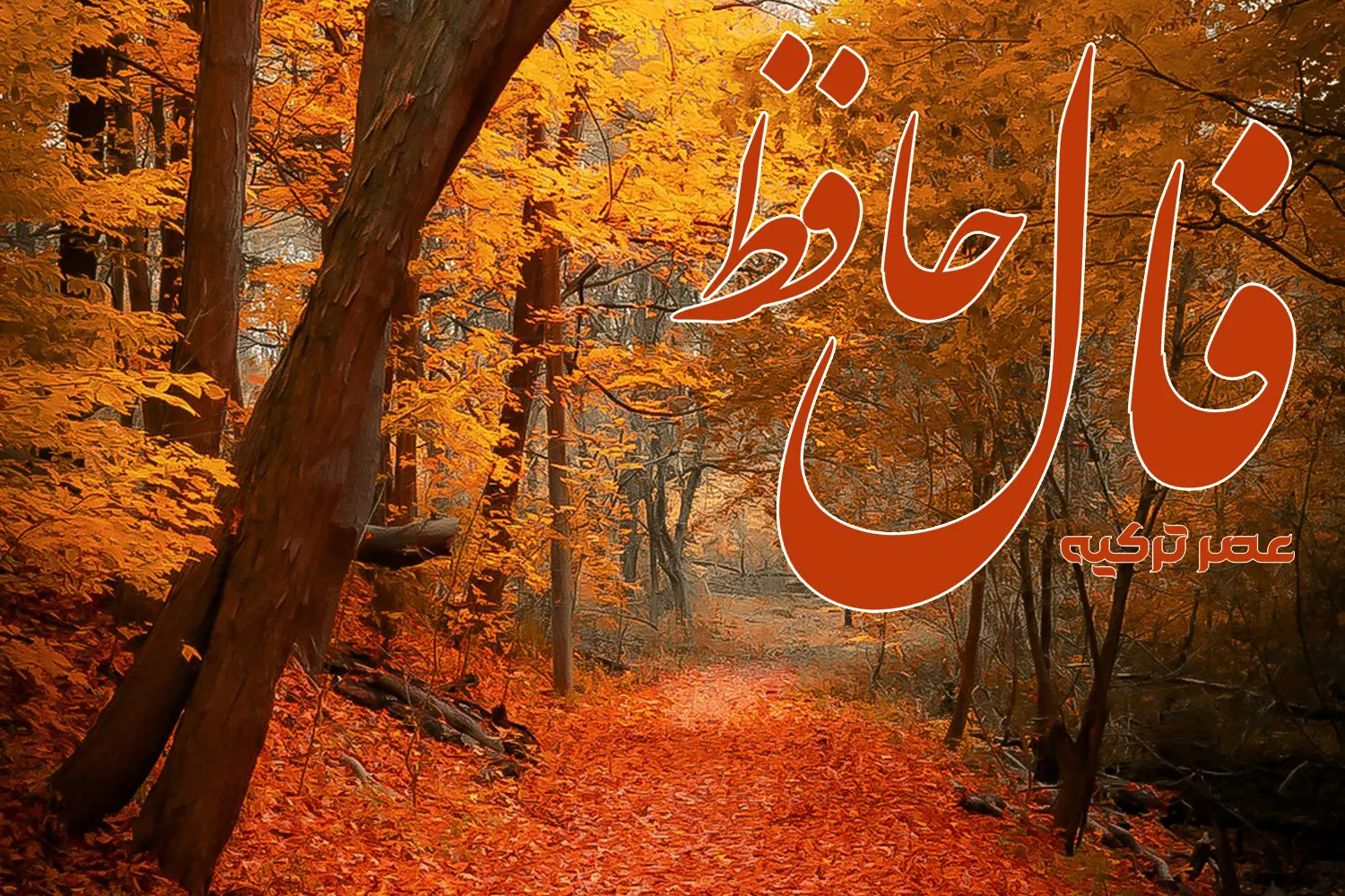 فال حافظ 15 آبان 1404