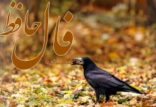 فال حافظ 16 آبان 1404