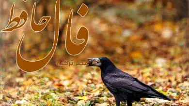 فال حافظ 16 آبان 1404
