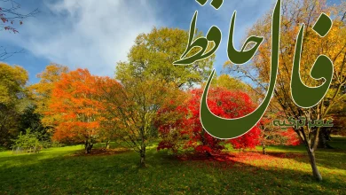 فال حافظ 17 آبان 1404