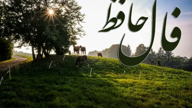 فال حافظ 18 آبان 1404