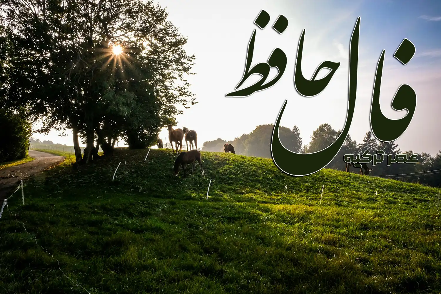 فال حافظ 18 آبان 1404