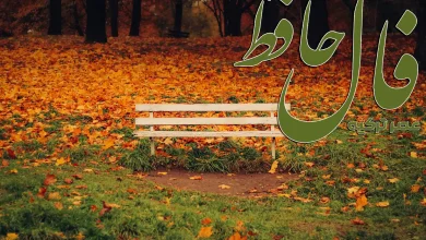 فال حافظ 20 آبان 1404