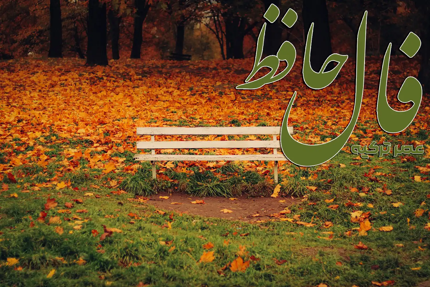 فال حافظ 20 آبان 1404